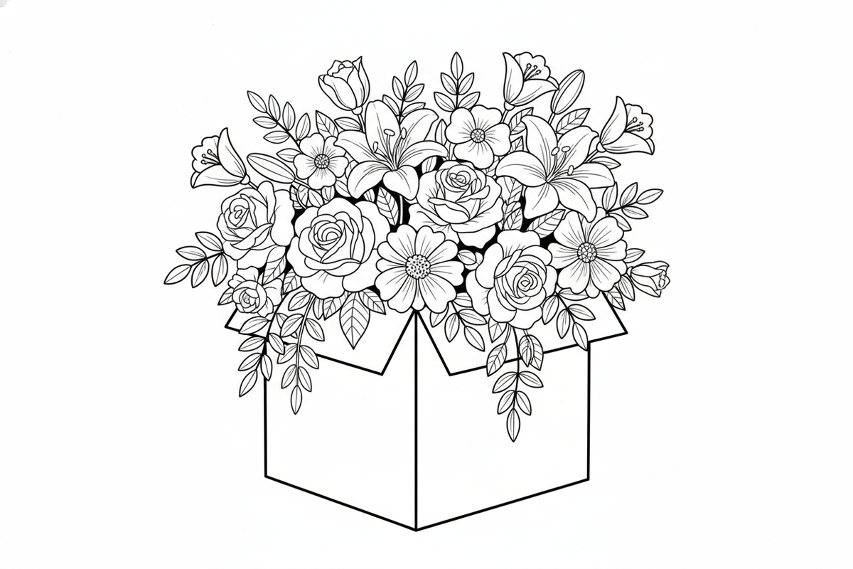 no design on the box